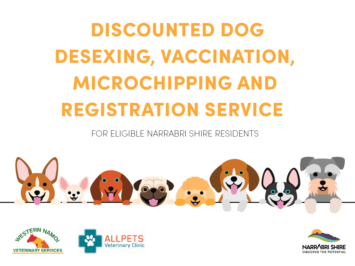 Discounted Dog Desexing Program Is HERE NSC   Discoundetd Desexing Program Sm Tile 